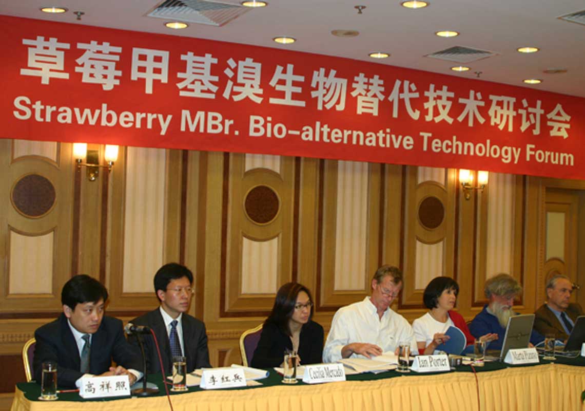 聯(lián)合國環(huán)境署、聯(lián)合國工發(fā)組織等機構(gòu)出席了我公司舉行的草莓甲基溴生物替代技術研討會